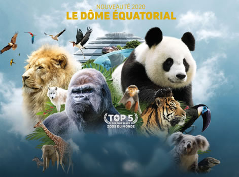 Le Zoo de Beauval | Les Coteaux d'Amboise | location de gîtes à Amboise